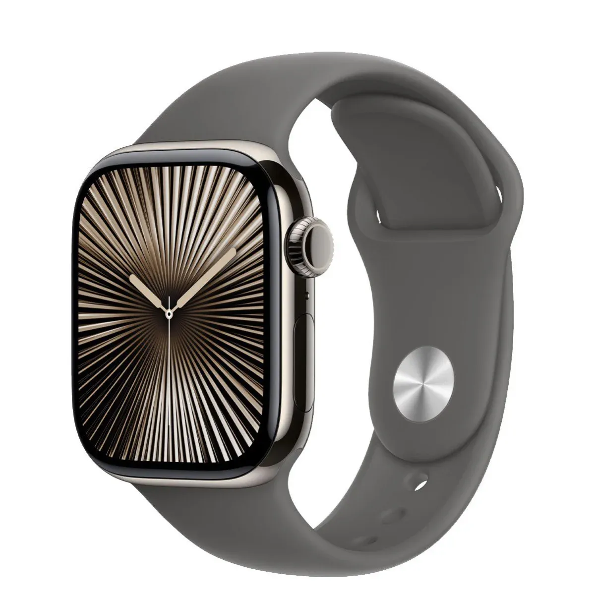 Смарт-годинник Apple Watch Series 10 GPS + Cellular 42mm Natural Titanium Case with Stone Grey Sport Band - M/L (MWXE3) - Image 1