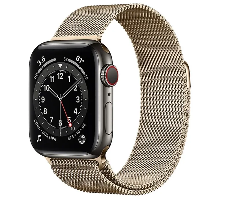 Смарт-годинник Apple Watch Series 6 GPS + Cellular 40mm Graphite S. Steel Case with Gold Milanese Loop (M0DF3/M0DW3) - Image 1